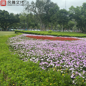 动漫 得到 无尽巨乳
